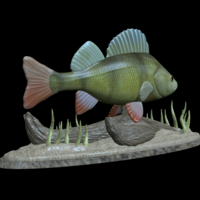big perch underwater statue detailed texture for 3d printing  - Thumbnail 12