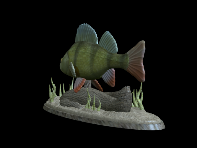 big perch underwater statue detailed texture for 3d printing  3D Print 517130