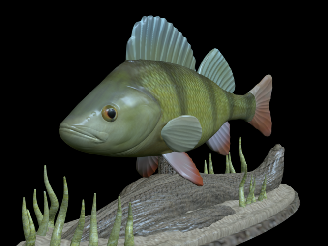 big perch underwater statue detailed texture for 3d printing  3D Print 517132