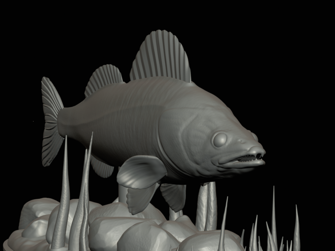  zander underwater statue detailed texture for 3d printing  3D Print 517139