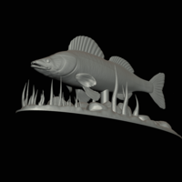  zander underwater statue detailed texture for 3d printing  - Thumbnail 8