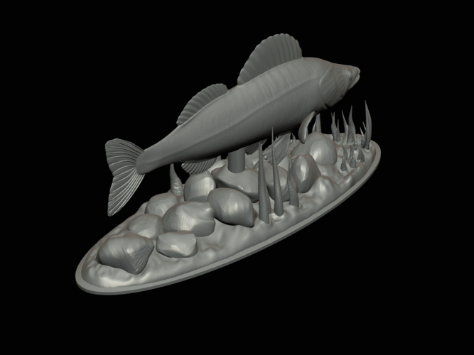  zander underwater statue detailed texture for 3d printing  3D Print 517143