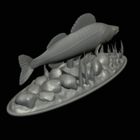  zander underwater statue detailed texture for 3d printing  - Thumbnail 10
