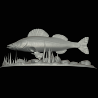 zander underwater statue detailed texture for 3d printing  - Thumbnail 11