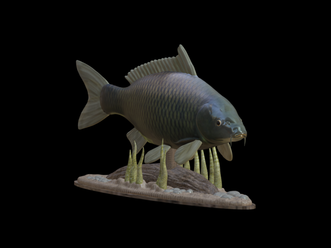 carp underwater statue detailed texture for 3d printing 3D Print 517147