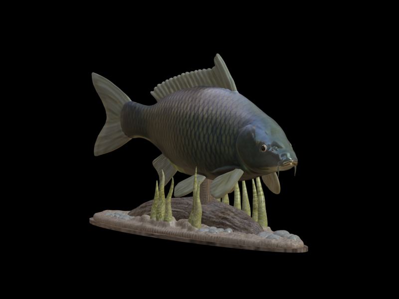 carp underwater statue detailed texture for 3d printing