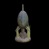 carp underwater statue detailed texture for 3d printing - Thumbnail 4