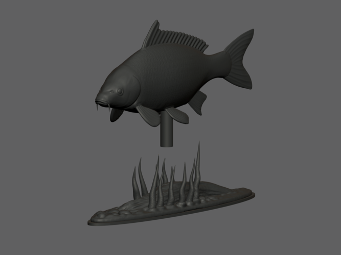 carp underwater statue detailed texture for 3d printing 3D Print 517151