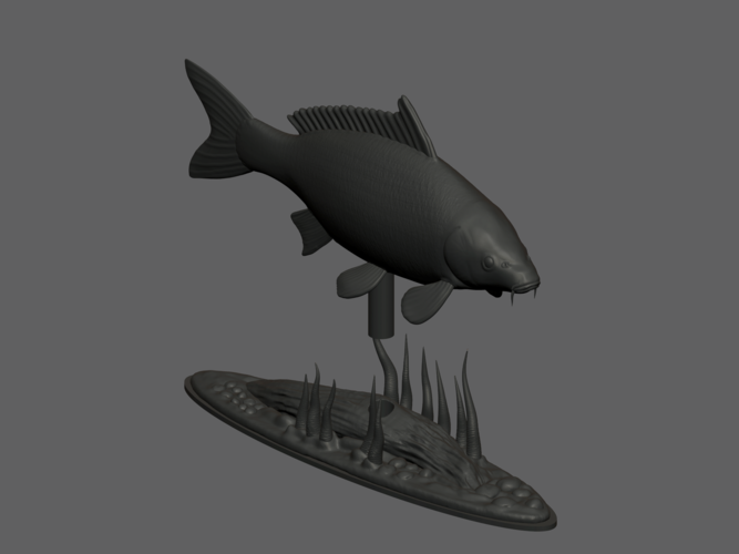 carp underwater statue detailed texture for 3d printing 3D Print 517157