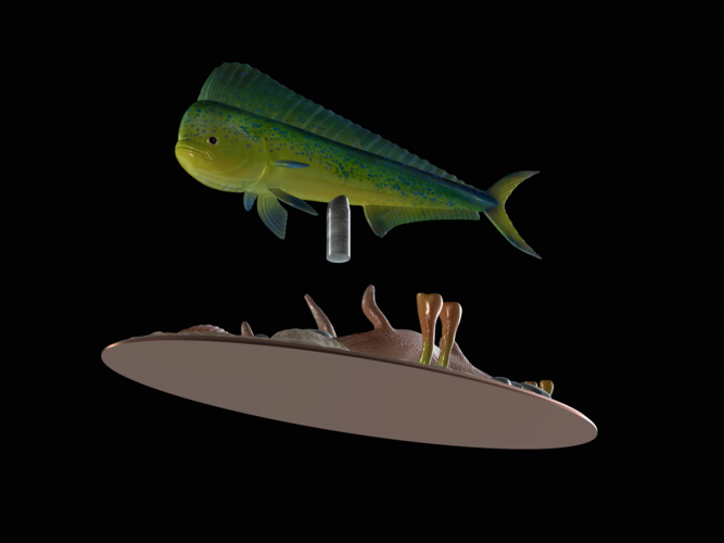 mahi mahi / dorado / underwater statue detailed texture  3D Print 517158