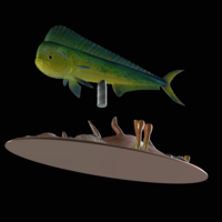 mahi mahi / dorado / underwater statue detailed texture  - Thumbnail 1