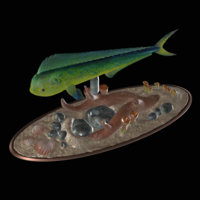 mahi mahi / dorado / underwater statue detailed texture  - Thumbnail 2