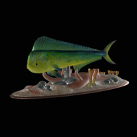 mahi mahi / dorado / underwater statue detailed texture  - Thumbnail 3
