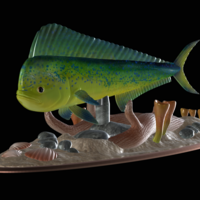 Small mahi mahi / dorado / underwater statue detailed texture  3D Printing 517161