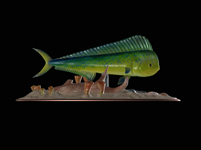 mahi mahi / dorado / underwater statue detailed texture  3D Print 517162