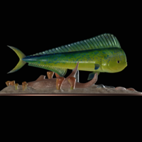 mahi mahi / dorado / underwater statue detailed texture  - Thumbnail 5