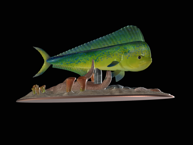 mahi mahi / dorado / underwater statue detailed texture  3D Print 517163