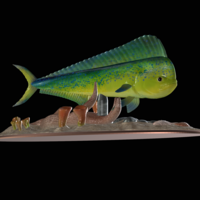 mahi mahi / dorado / underwater statue detailed texture  - Thumbnail 6