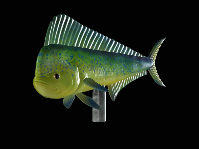 mahi mahi / dorado / underwater statue detailed texture  3D Print 517166