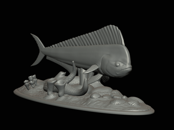 mahi mahi / dorado / underwater statue detailed texture  3D Print 517167