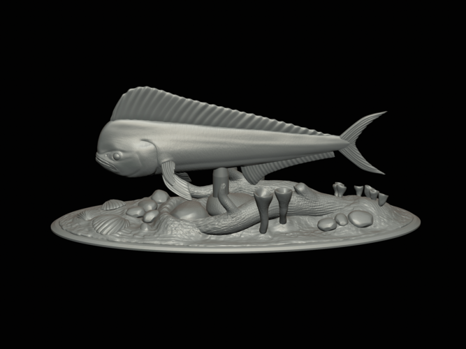 mahi mahi / dorado / underwater statue detailed texture  3D Print 517169