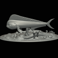 mahi mahi / dorado / underwater statue detailed texture  - Thumbnail 12
