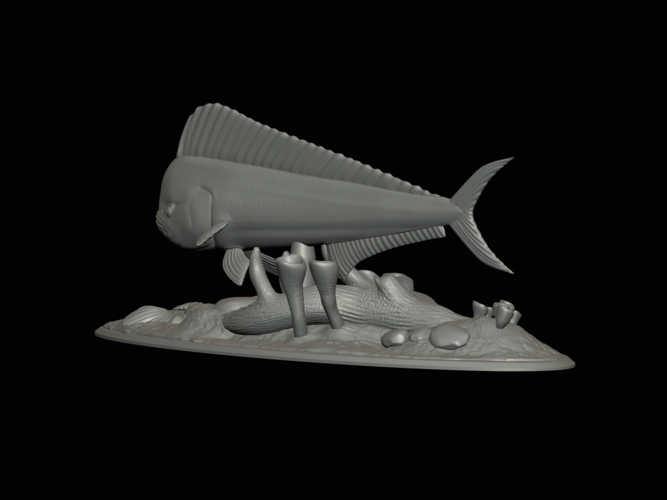 mahi mahi / dorado / underwater statue detailed texture  3D Print 517170