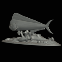 mahi mahi / dorado / underwater statue detailed texture  - Thumbnail 13