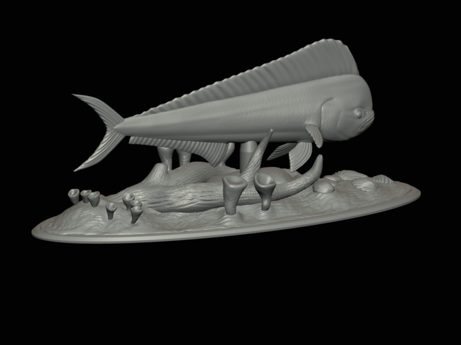 mahi mahi / dorado / underwater statue detailed texture  3D Print 517171