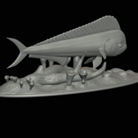 mahi mahi / dorado / underwater statue detailed texture  - Thumbnail 14