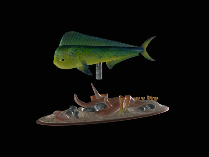 mahi mahi / dorado / underwater statue detailed texture  3D Print 517173