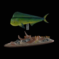 mahi mahi / dorado / underwater statue detailed texture  - Thumbnail 16