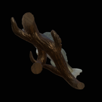 zander / pikeperch underwater statue on the wall  - Thumbnail 4