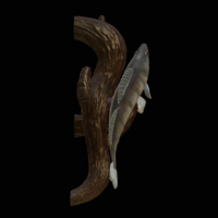 zander / pikeperch underwater statue on the wall  - Thumbnail 5