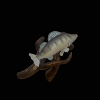 zander / pikeperch underwater statue on the wall  - Thumbnail 6