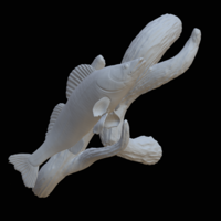 zander / pikeperch underwater statue on the wall  - Thumbnail 7