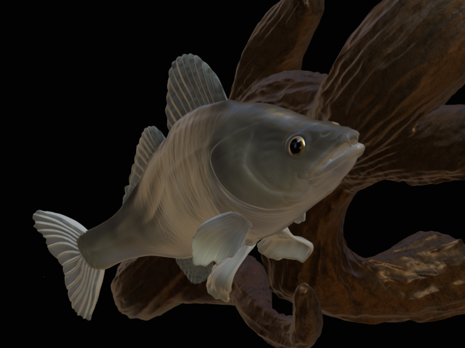 zander / pikeperch underwater statue on the wall  3D Print 517181