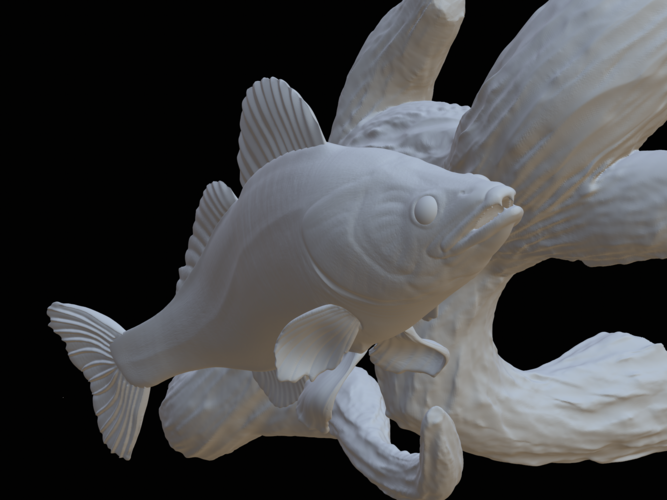 zander / pikeperch underwater statue on the wall  3D Print 517182