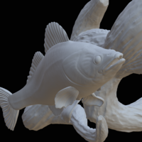 zander / pikeperch underwater statue on the wall  - Thumbnail 9