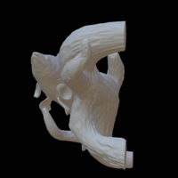 zander / pikeperch underwater statue on the wall  - Thumbnail 11