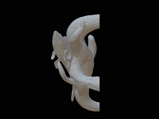 zander / pikeperch underwater statue on the wall  3D Print 517185