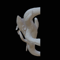 zander / pikeperch underwater statue on the wall  - Thumbnail 12