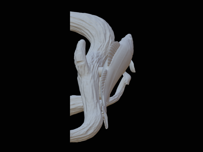 zander / pikeperch underwater statue on the wall  3D Print 517186