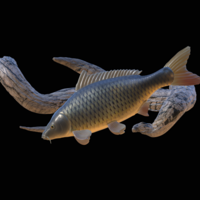 Small carp underwater statue on the wall 3D Printing 517188