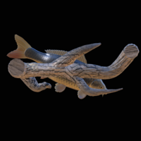 carp underwater statue on the wall - Thumbnail 4