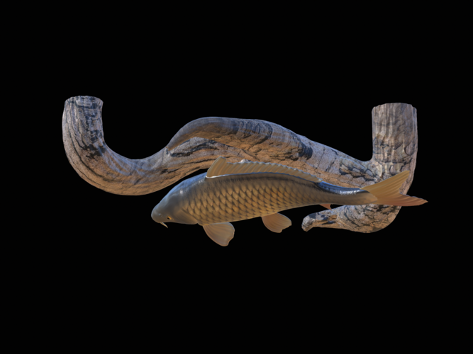 carp underwater statue on the wall 3D Print 517192