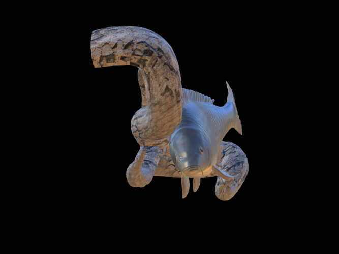 carp underwater statue on the wall 3D Print 517193