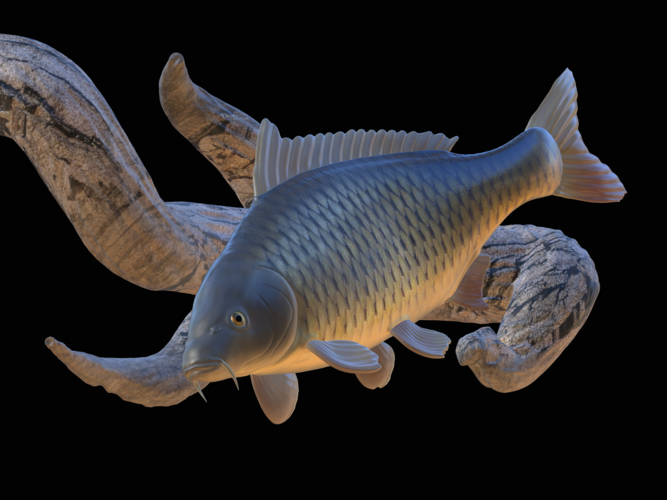 carp underwater statue on the wall 3D Print 517194