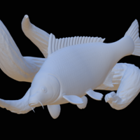 carp underwater statue on the wall - Thumbnail 8