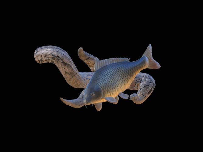 carp underwater statue on the wall 3D Print 517198